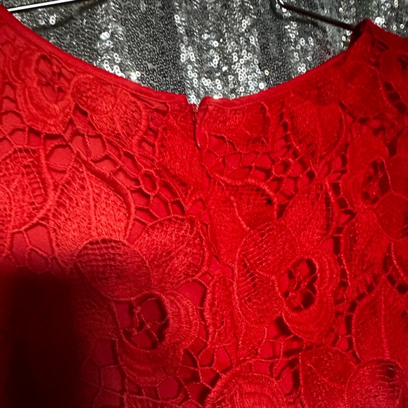 ANN TAYLOR WOMEN Red Lace Dress Size 18 - Picture 8 of 11